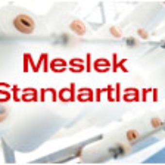 Meslek Standartları