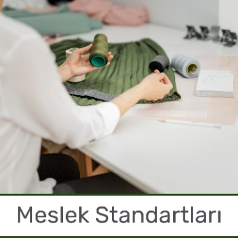 Meslek Standartları